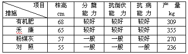 盐碱地种小麦禾康改良试验（新疆克拉玛依，小麦）(图1)