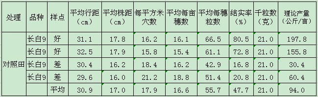 盐碱地莳植水稻施用禾康处置惩罚测产报告（吉林镇赉县，水稻）(图2)